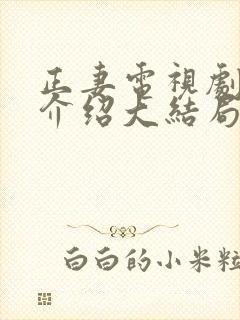 正妻电视剧剧情介绍大结局