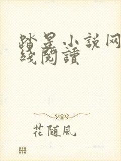 踏星小说网站在线阅读