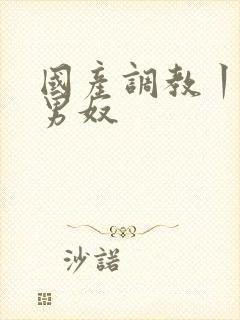 国产调教丨vk男奴