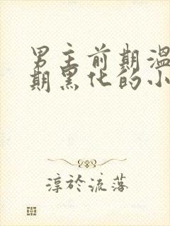 男主前期温柔后期黑化的小说