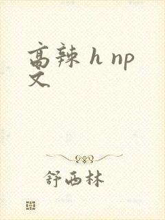 高辣 h np文