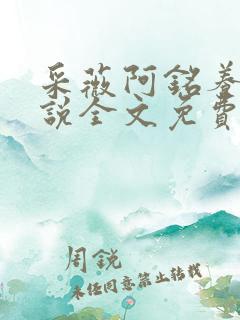 采薇阿铭养父小说全文免费阅读