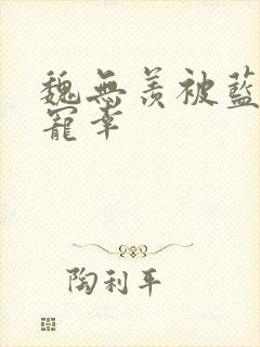 魏无羡被蓝忘机宠幸