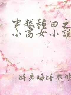 穿越种田之农家小商女小说