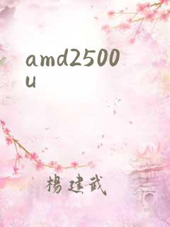 amd2500u