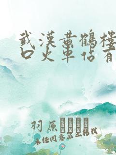 武汉黄鹤楼离汉口火车站有多远