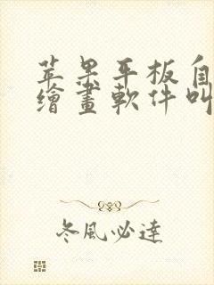 苹果平板自带的绘画软件叫什么