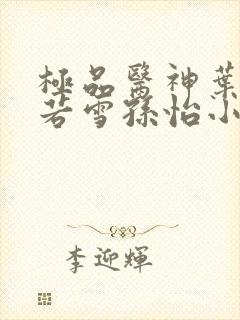 极品医神叶辰夏若雪孙怡小说