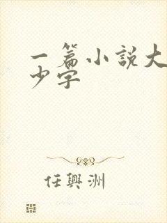 一篇小说大概多少字