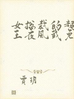 女总裁的超级兵王夜风武免费阅读全文