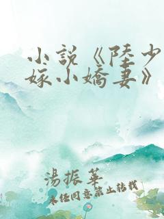 小说《陆少的替嫁小娇妻》