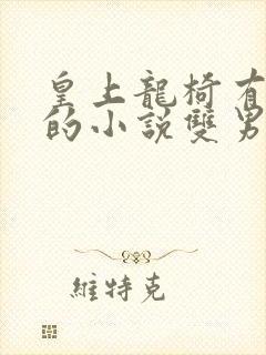 皇上龙椅有木棒的小说双男主小说