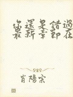 你还是错过了我最新章节在线阅读