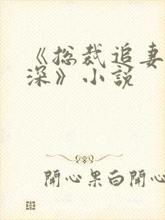 《总裁追妻套路深》小说