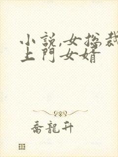 小说,女总裁的上门女婿