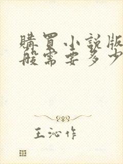 购买小说版权一般需要多少钱