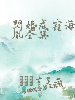闪婚成宠海彤战胤全集