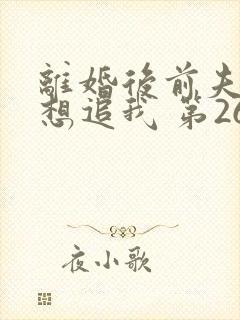 离婚后前夫总是想追我 第260章