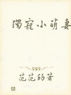 独宠小萌妻小说