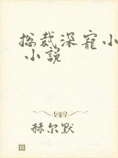 总裁深宠小甜妻 小说