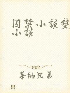 囚禁小说双男主小说