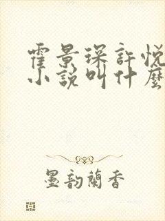 霍景琛许悦悦的小说叫什么