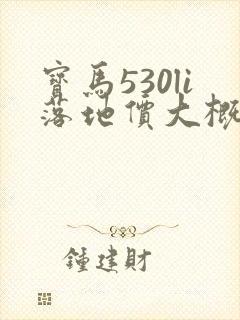 宝马530li落地价大概多少
