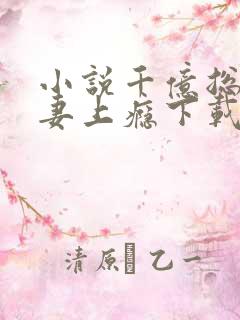 小说千亿总裁宠妻上瘾下载