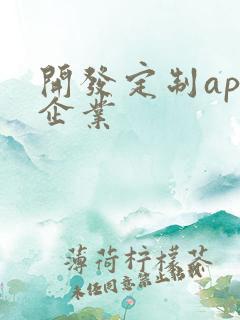 开发定制app企业