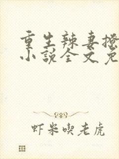 重生辣妻撩夫忙小说全文免费阅读