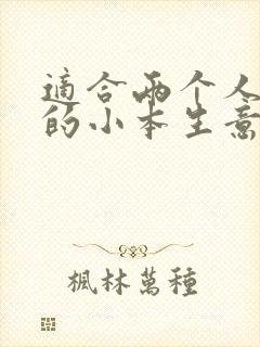 适合两个人创业的小本生意