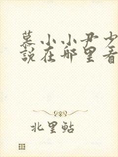 慕小小尹少桀小说在哪里看