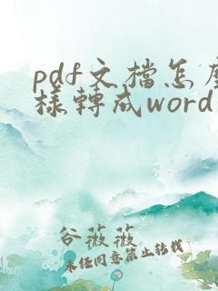 pdf文档怎么样转成word文档