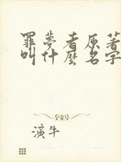 罪梦者原著小说叫什么名字