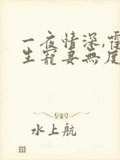 一夜情深,霍先生宠妻无度全书