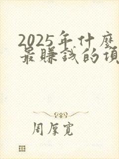 2025年什么最赚钱的项目