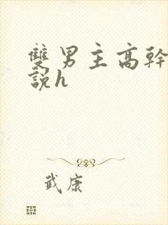 双男主高干文小说h