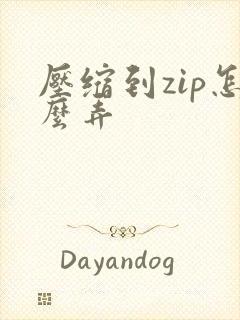 压缩到zip怎么弄