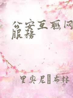 公安互联网政务服务