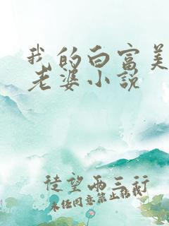 我的白富美总裁老婆小说