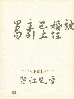 男主已婚被女主勾引上位