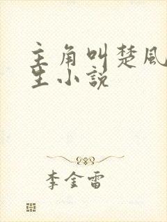 主角叫楚风的重生小说