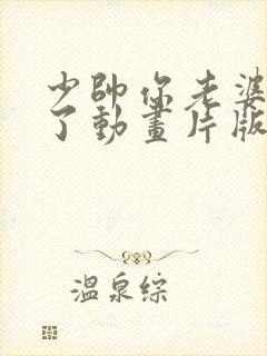 少帅你老婆又跑了动画片版