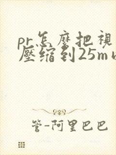 pr怎么把视频压缩到25m以内