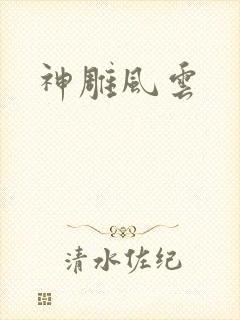 神雕风云