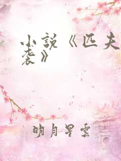 小说《匹夫的逆袭》