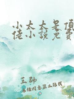 小太太是顶级大佬小说免费阅读