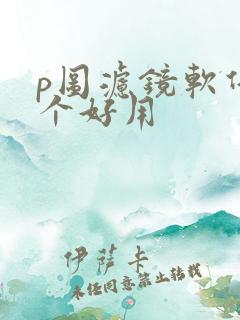 p图滤镜软件哪个好用