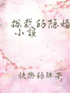 总裁的隐婚罪妻 小说