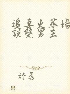 追妻火葬场的小说双男主